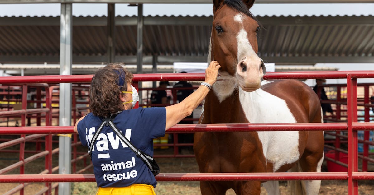 tierschutzorganisationen setzen sich für das wohl von tieren ein. sie fördern den schutz, die pflege und die rechte von tieren durch aufklärung, rettungsaktionen und nachhaltige programme.