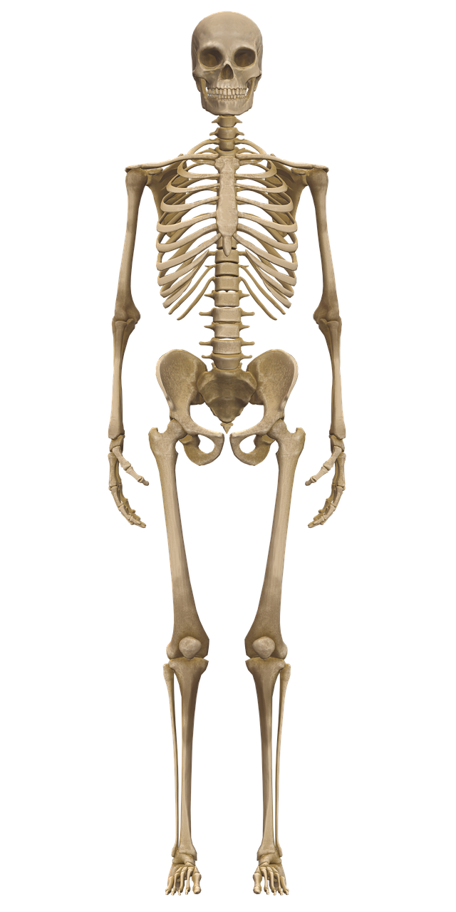 bildungsforschung untersucht die methoden und ergebnisse von lehr- und lernprozessen. sie zielt darauf ab, das bildungssystem zu verbessern und effektive lernstrategien zu entwickeln, um die schülerleistungen zu steigern.