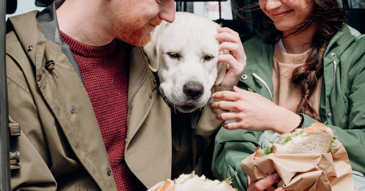 entdecken sie unsere große auswahl an pflegeprodukten für haustiere. von hochwertigen futter bis zu pflegenden zubehör – alles, was ihr vierbeiniger freund braucht, um gesund und glücklich zu sein!