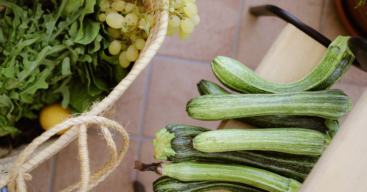 entdecken sie eine gesunde ernährung mit ausgewogenen mahlzeiten, die ihrem körper die nötige energie und nährstoffe liefern. informationen über die besten lebensmittel, rezepte und tipps für einen gesunden lebensstil.