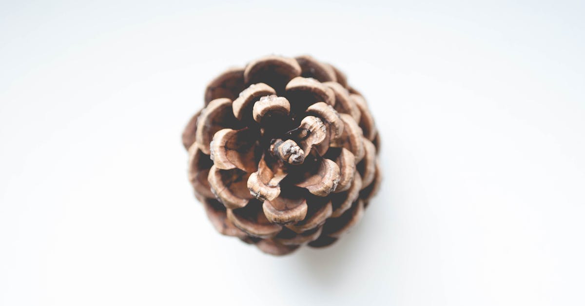 entdecken sie die freiheit des minimalismus. reduzieren sie überflüssiges, steigern sie ihre lebensqualität und finden sie frieden in einfachheit. erleben sie, wie weniger mehr sein kann.