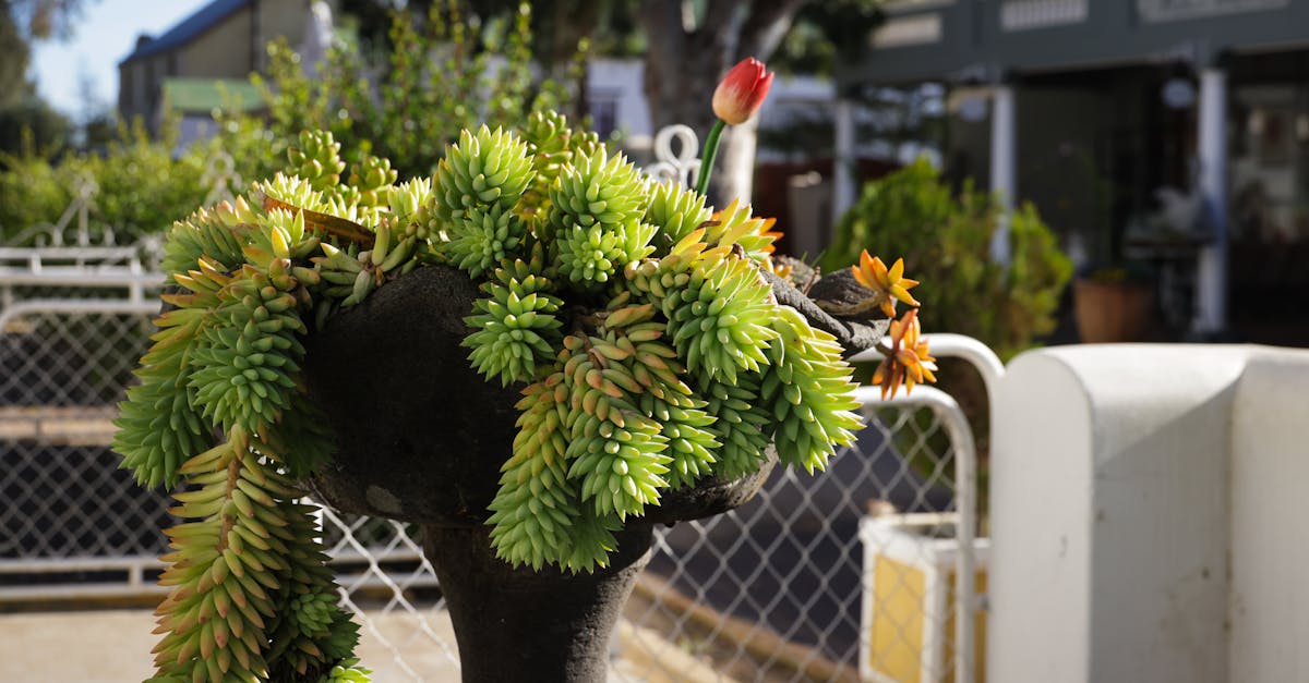 entdecken sie die welt des outdoor living! erleben sie die freiheit, im freien zu leben und zu entspannen, mit stilvollen möbeln, ansprechender dekoration und praktischen tipps für ihren garten oder balkon.