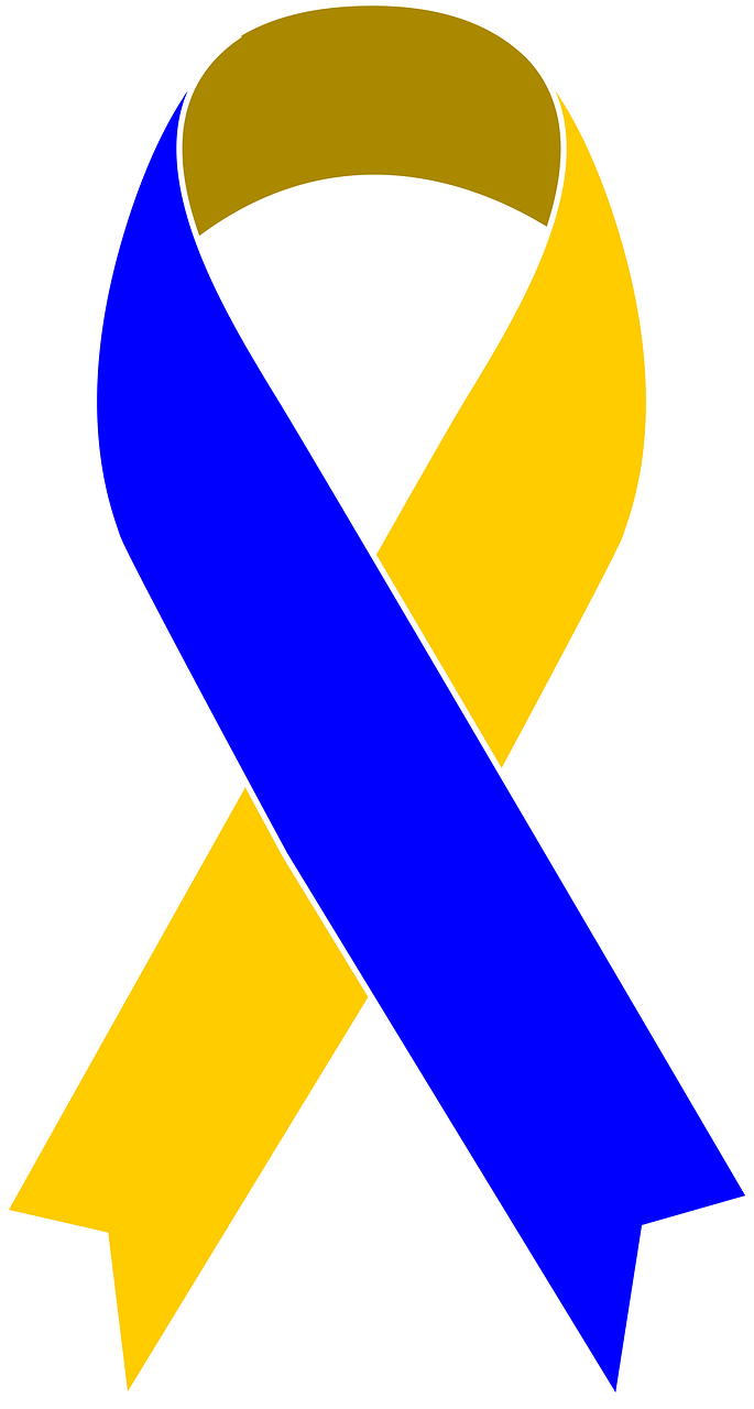 bundessolidarität: gemeinsame verantwortung und unterstützung zwischen bundesländern zur förderung von zusammenhalt und nachhaltiger entwicklung.