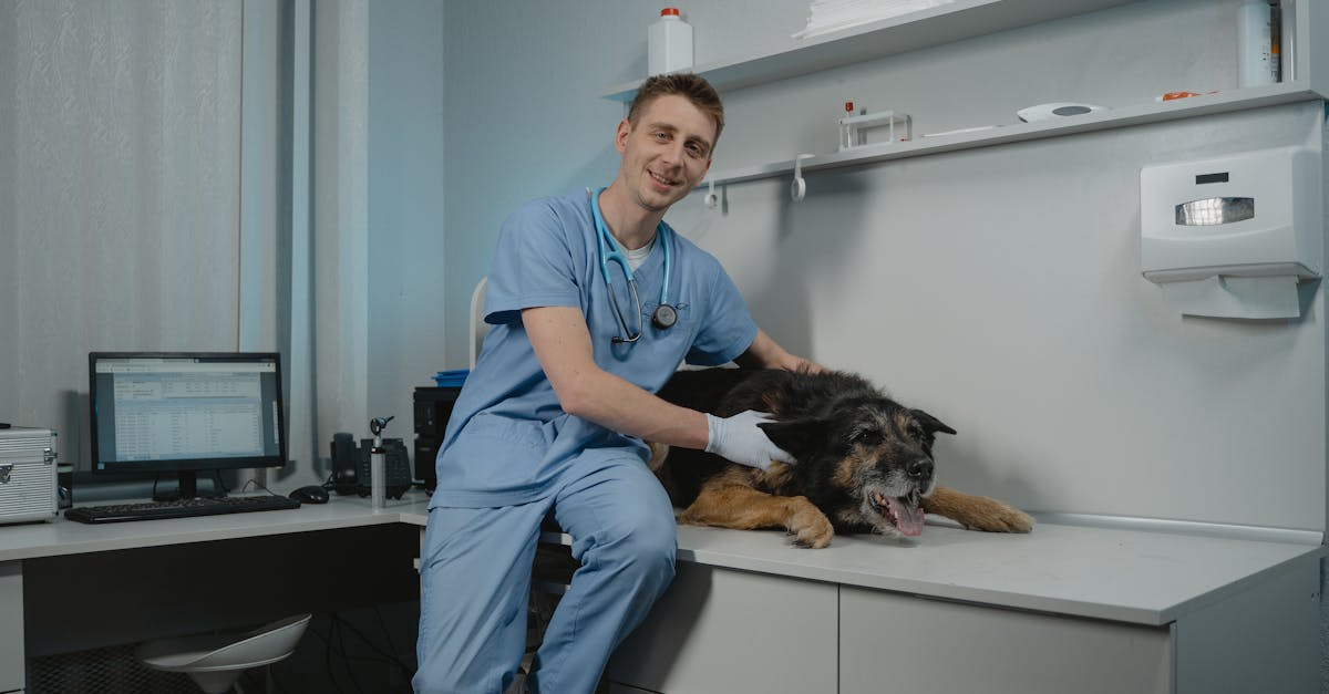 erfahren sie mehr über die rolle und dienstleistungen eines tierarztes. von der gesundheitsversorgung ihrer haustiere bis zu präventiven maßnahmen, unser artikel bietet umfassende informationen für tierbesitzer.