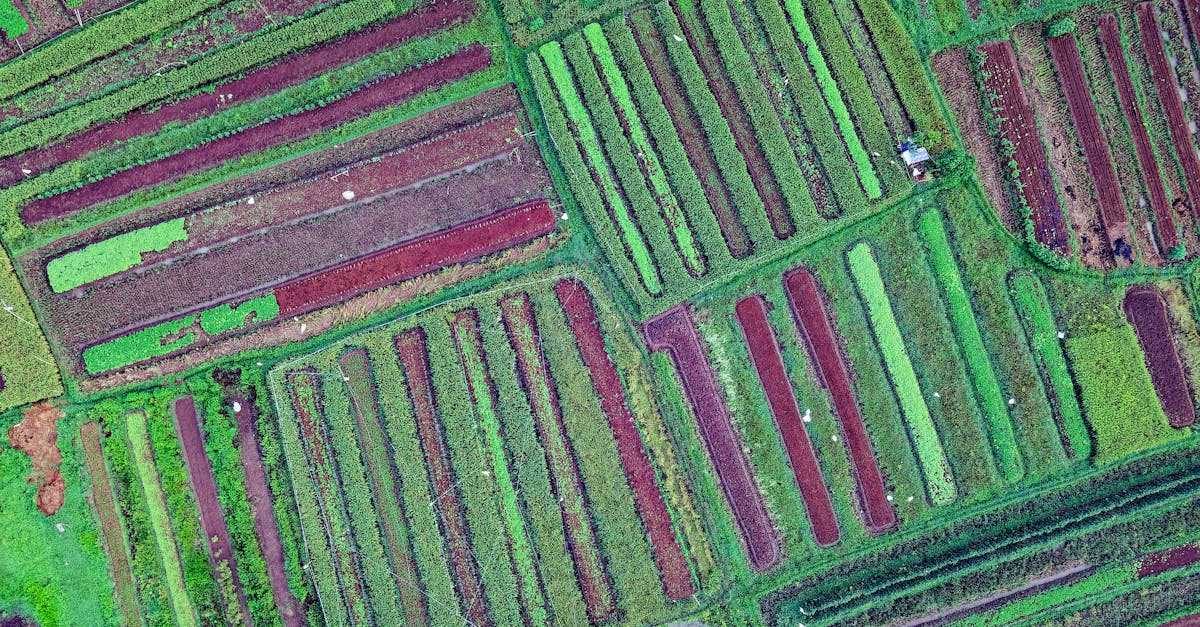 effizientes resource management: entdecken sie strategien, tools und best practices, um ressourcen optimal zu planen, zuzuweisen und den unternehmenserfolg zu steigern.