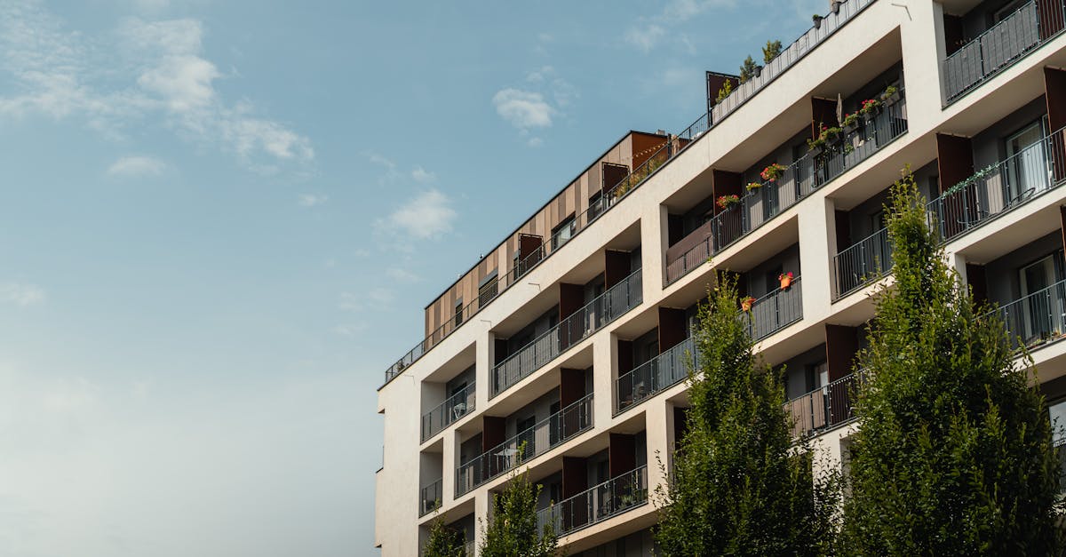 entdecken sie nachhaltige investitionen: erfahren sie, wie sie ihr geld ökologisch und sozial verantwortlich anlegen und dabei attraktive renditen erzielen können.