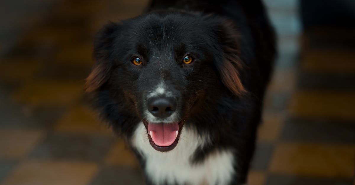 entdecken sie, wie sie einen gesünderen lebensstil führen können mit tipps zu ernährung, fitness und mentalem wohlbefinden. verbessern sie ihre lebensqualität und erreichen sie ihre gesundheitsziele!