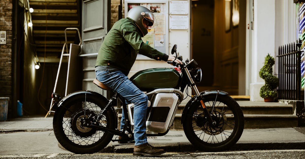 entdecken sie die besten pet-friendly cafés in ihrer nähe! genießen sie köstliche spezialitäten, während ihr haustier herzlich willkommen ist. perfekt für entspannte auszeiten mit ihrem vierbeinigen freund.