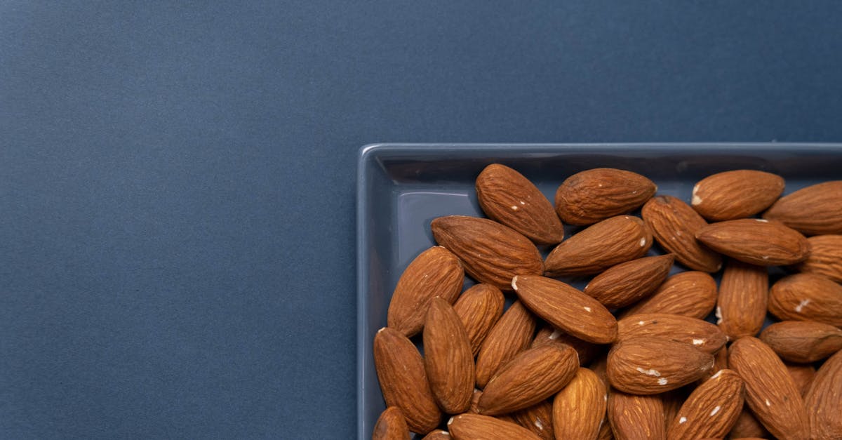 entdecken sie gesunde snacks für zwischendurch! unsere auswahl an nahrhaften und leckeren snacks bietet ihnen energie und genuss – ideal für unterwegs, im büro oder zu hause.