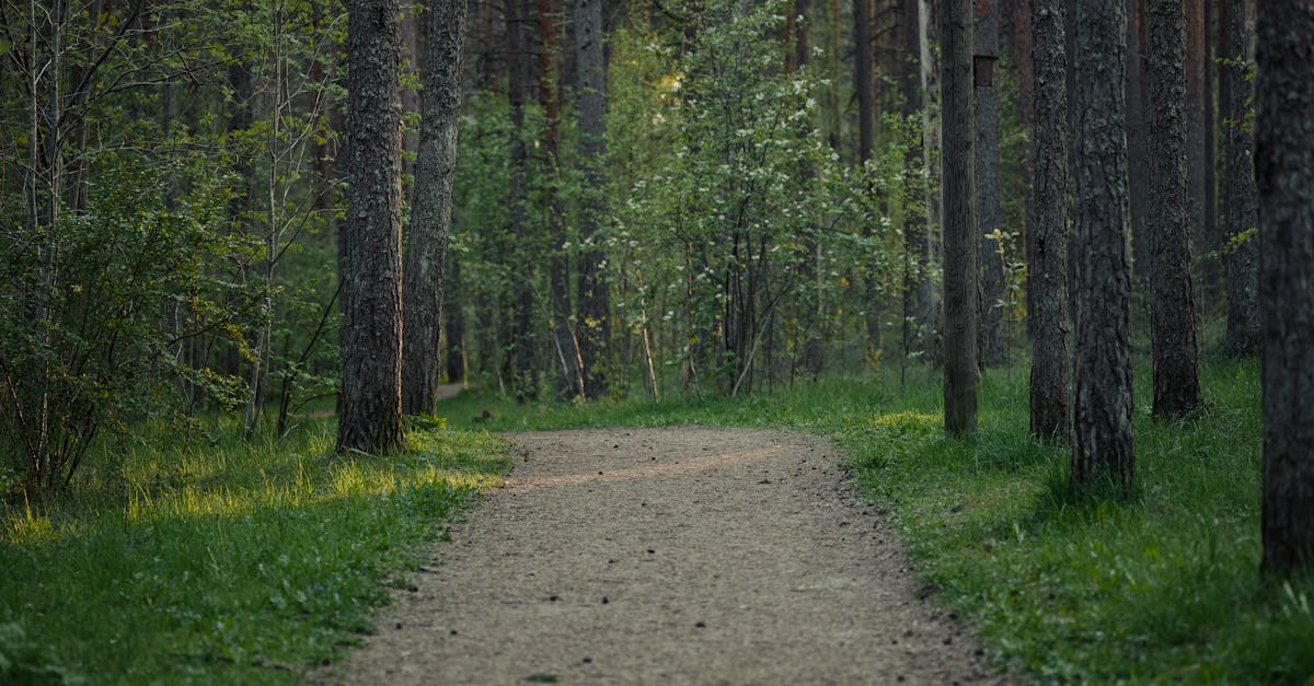 entdecken sie wege zu mehr wohlbefinden mit unseren einzigartigen tipps und ressourcen. verbessern sie ihre lebensqualität durch achtsamkeit, gesunde gewohnheiten und positive denkanstöße. lassen sie sich inspirieren und finden sie ihr persönliches gleichgewicht für ein erfülltes leben.