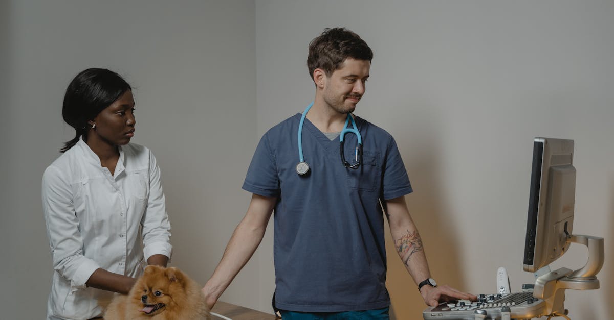 entdecken sie die besten veterinären dienstleistungen für ihre haustiere. unsere erfahrenen tierärzte bieten umfassende medizinische betreuung, impfungen und notfallhilfe. vertrauen sie uns, um die gesundheit ihres geliebten begleiters zu fördern!