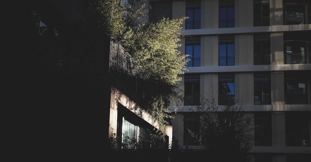 entdecken sie nachhaltige investitionen: erfahren sie, wie sie ihr geld verantwortungsbewusst anlegen und von umweltfreundlichen finanzstrategien profitieren können. tipps, trends und chancen für grüne investments.