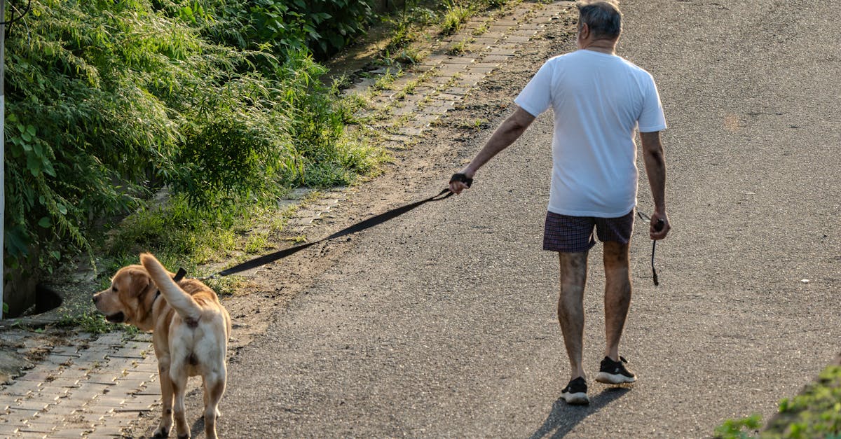 entdecken sie effektive fitness-empfehlungen für mehr wohlbefinden und gesundheit. praktische tipps, trainingspläne und inspiration für anfänger und fortgeschrittene.
