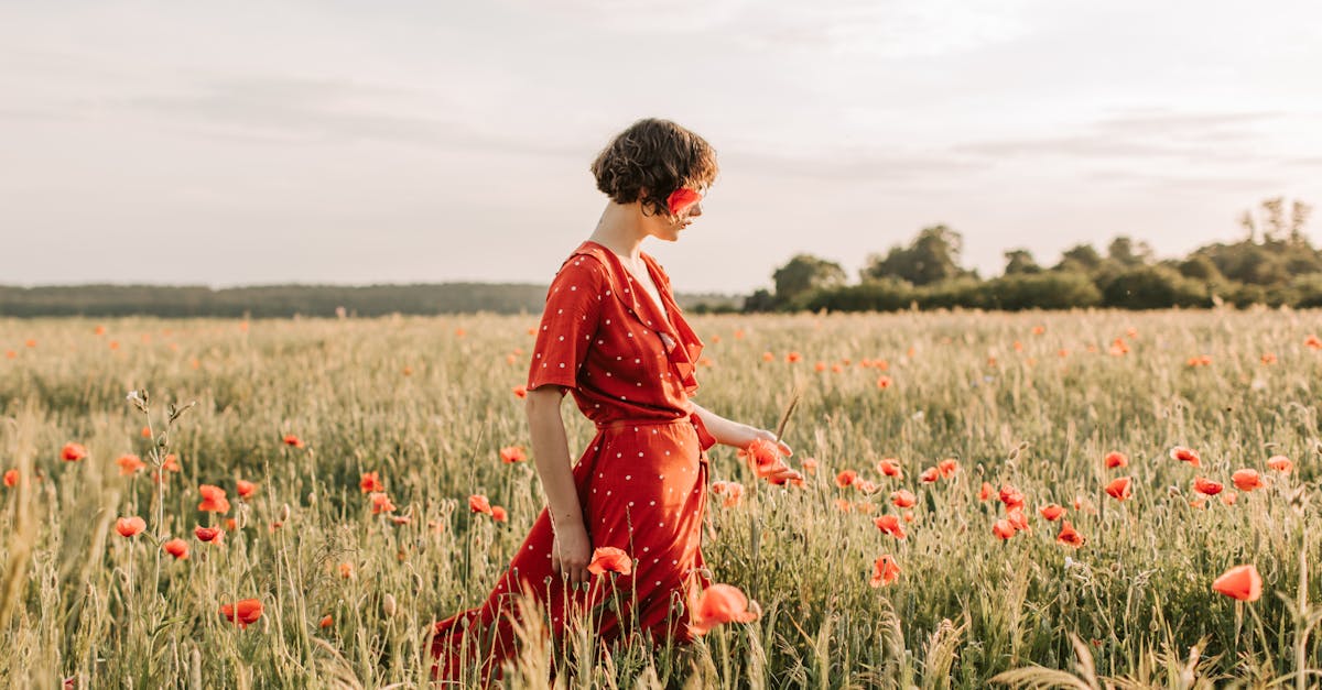 entdecken sie, wie wohlstand erreicht werden kann – tipps, strategien und inspiration für ein erfolgreiches, erfülltes leben. alles rund um prosperität und finanzielles wachstum!