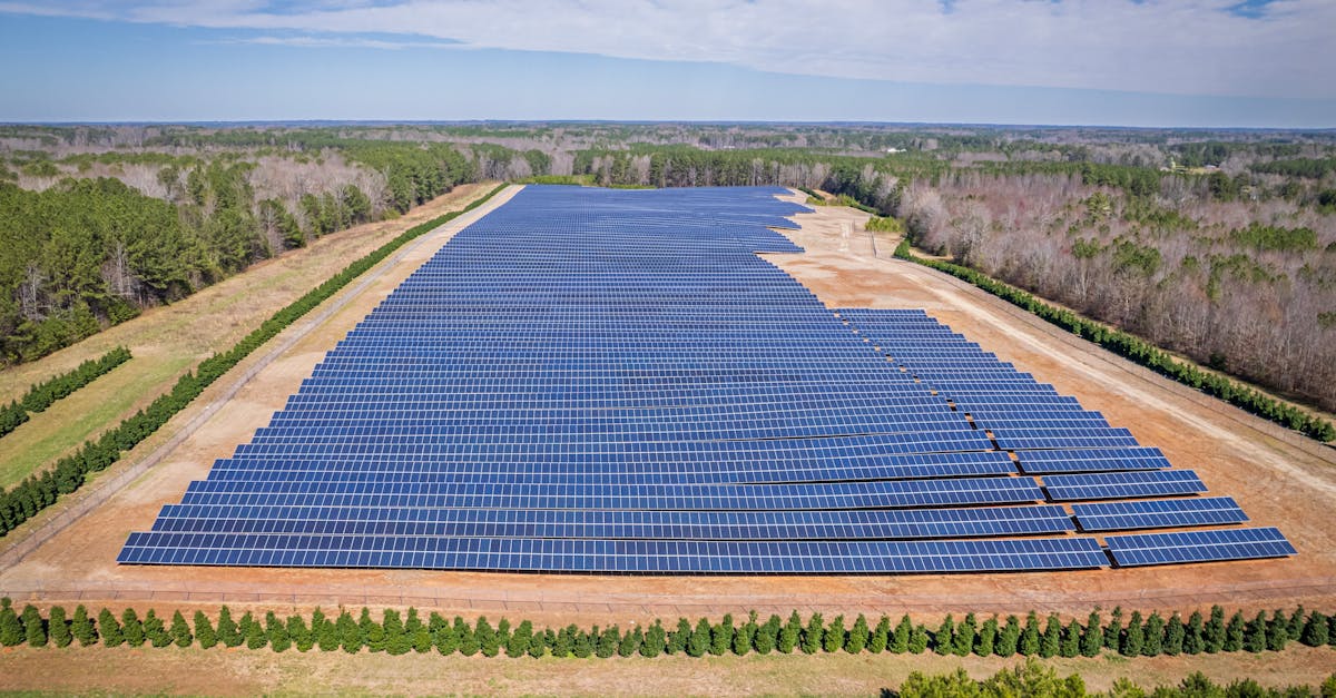 entdecken sie nachhaltige anlagestrategien, die ökologische und soziale verantwortung mit finanzieller rendite verbinden. erfahren sie, wie sie ihr portfolio nachhaltig und zukunftssicher gestalten können.