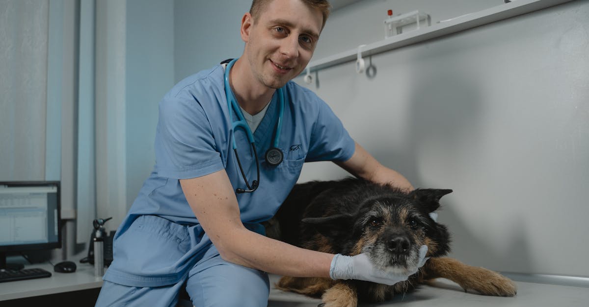 alles rund um die gesundheit ihres haustiers: tipps zur pflege, ernährung, vorbeugung von krankheiten und wohlbefinden für hunde und katzen. entdecken sie ratschläge für ein langes, glückliches tierleben!