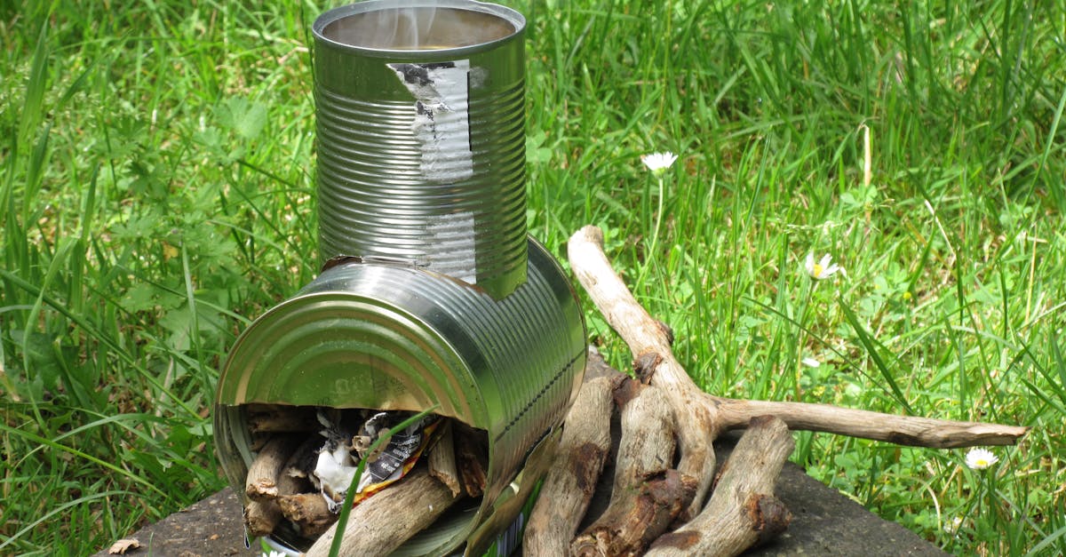 entdecken sie, wie nachhaltiges leben ihrem alltag zugute kommt. erfahren sie tipps und strategien, um umweltbewusst zu handeln und einen positiven einfluss auf unseren planeten zu haben.