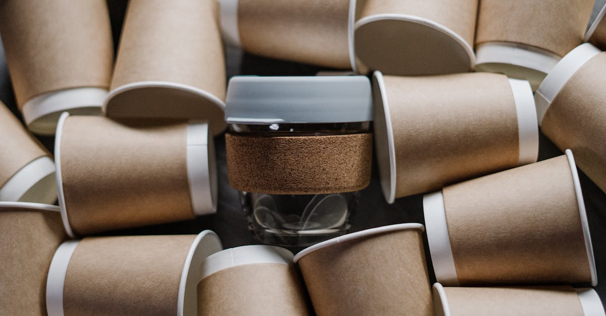 entdecken sie nachhaltigen lebensstil, der umweltbewusstsein und persönliche gesundheit verbindet. erfahren sie, wie kleine veränderungen in ihrem alltag positive auswirkungen auf unseren planeten haben können.