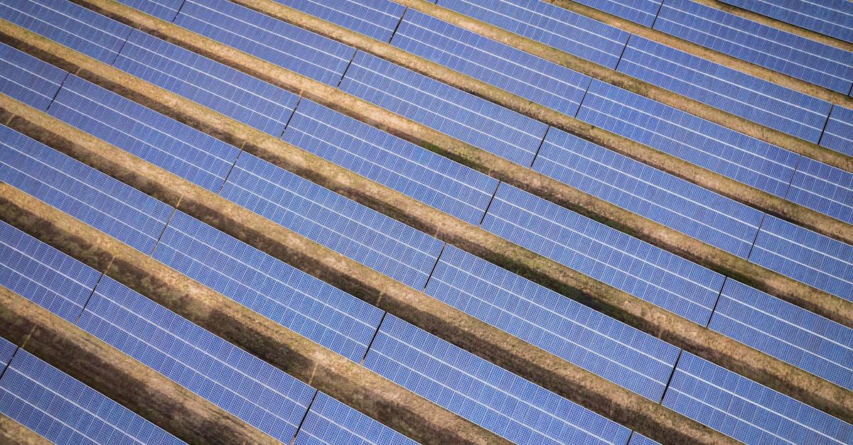 entdecken sie, wie nachhaltige entwicklung unsere zukunft sichert – innovative lösungen, ökologische verantwortung und soziale gerechtigkeit für eine bessere welt. erfahren sie alles über strategien und chancen einer nachhaltigen entwicklung.