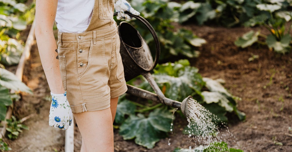 entdecken sie nachhaltiges leben mit tipps und tricks für umweltfreundliche entscheidungen in ihrem alltag. verbessern sie ihren ökologischen fußabdruck und leben sie im einklang mit der natur.
