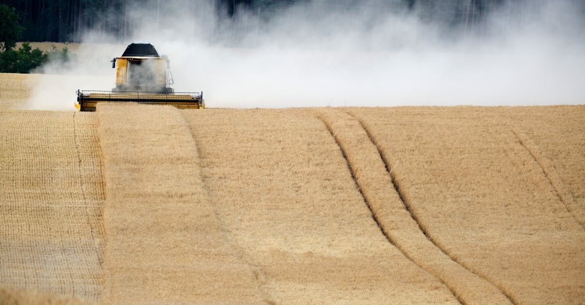 entdecken sie die neuesten tech-startups, innovative ideen und trends aus der welt der technologie. bleiben sie informiert über aufstrebende unternehmen, investitionen und entwicklungen in der startup-szene.