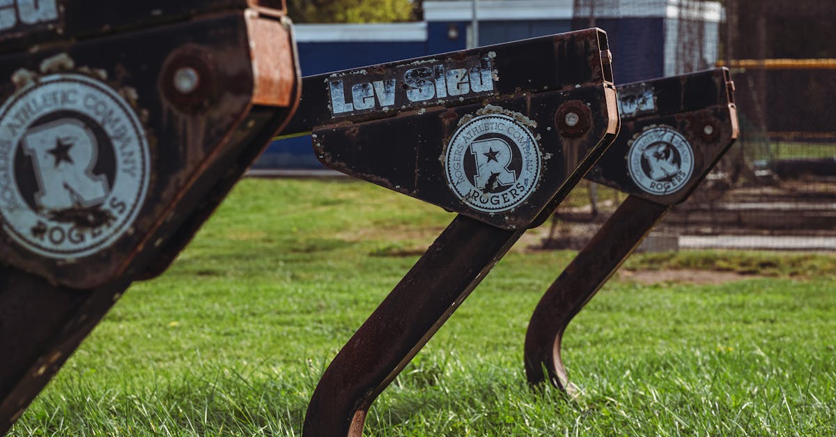 entdecken sie die neuesten trends und strategien im bereich der sportentwicklung. erfahren sie, wie gezielte programme athleten fördern und nachhaltige fortschritte im sport ermöglichen.