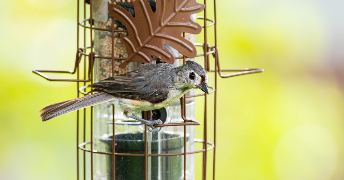 entdecken sie, wie nachhaltiges leben ihren alltag bereichern kann. tipps und strategien für umweltfreundliche entscheidungen, die sowohl ihrer gesundheit als auch unserem planeten zugutekommen.