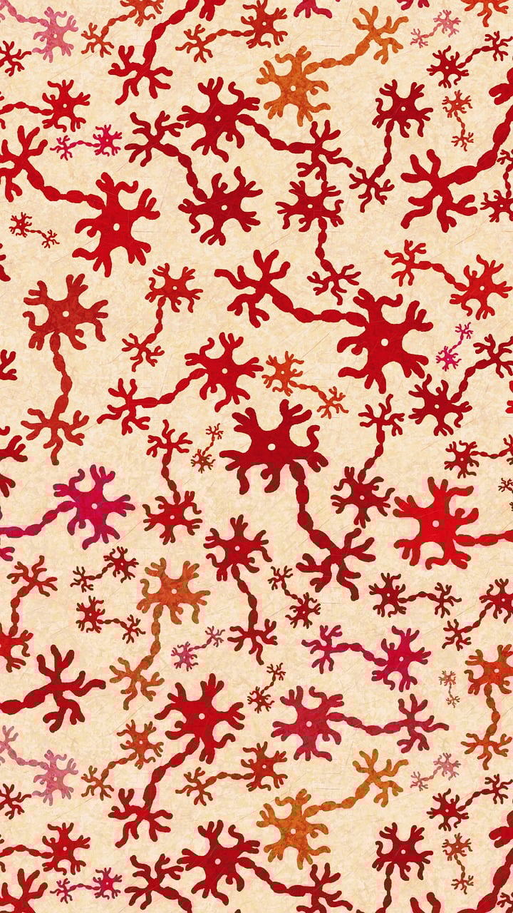 entdecken sie die vielfalt der neurodiversität – ein konzept, das die unterschiedlichen neurologischen profile und denkweisen feiert. erfahren sie, wie neurodiversität die gesellschaft bereichern kann und warum verständnis und akzeptanz für neurodiverse menschen wichtig sind.