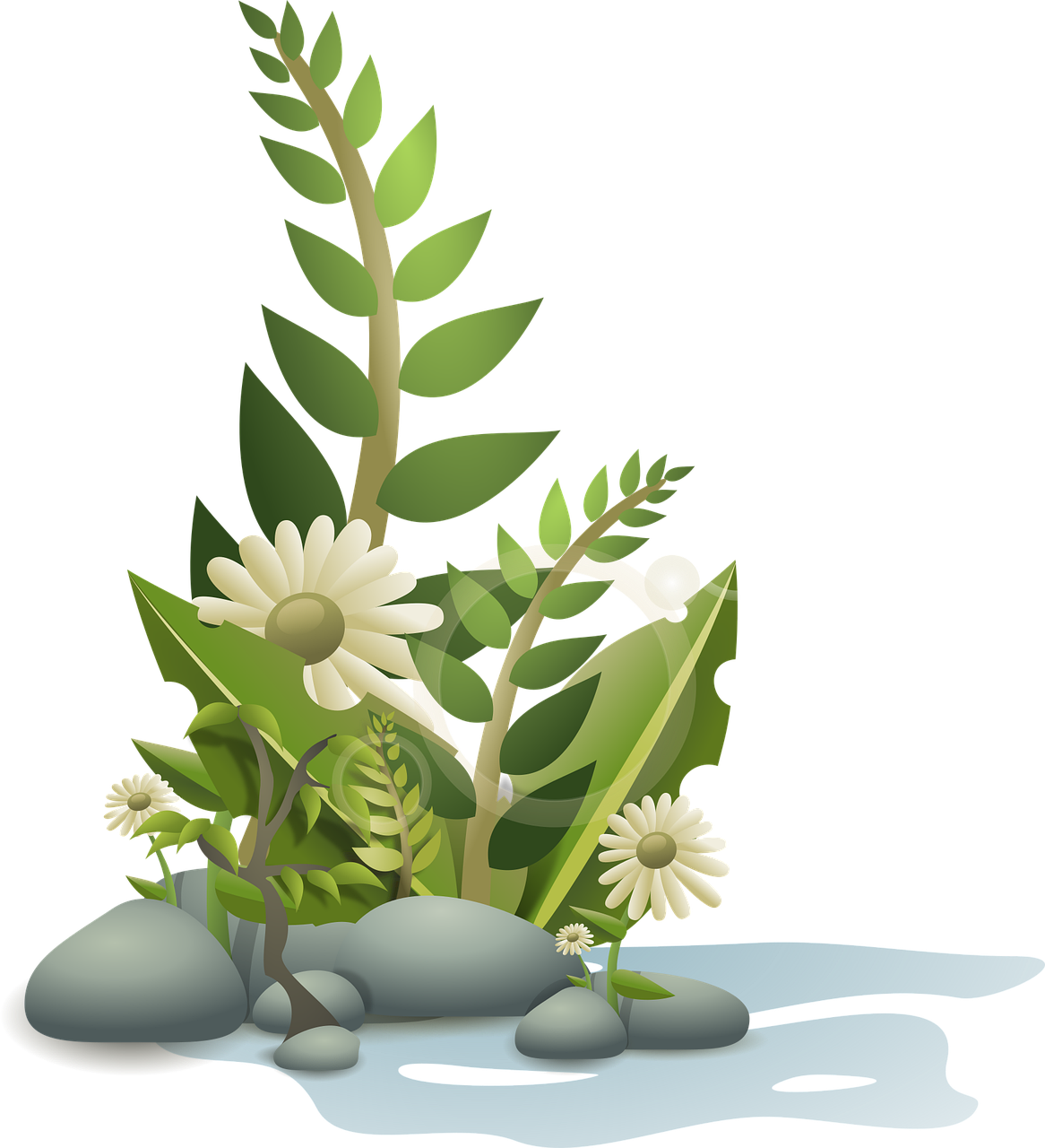 entdecken sie vielfältige pflanzenarten für garten und zuhause – von grünen zimmerpflanzen bis zu blühenden gartenpflanzen für jede umgebung und jeden stil.