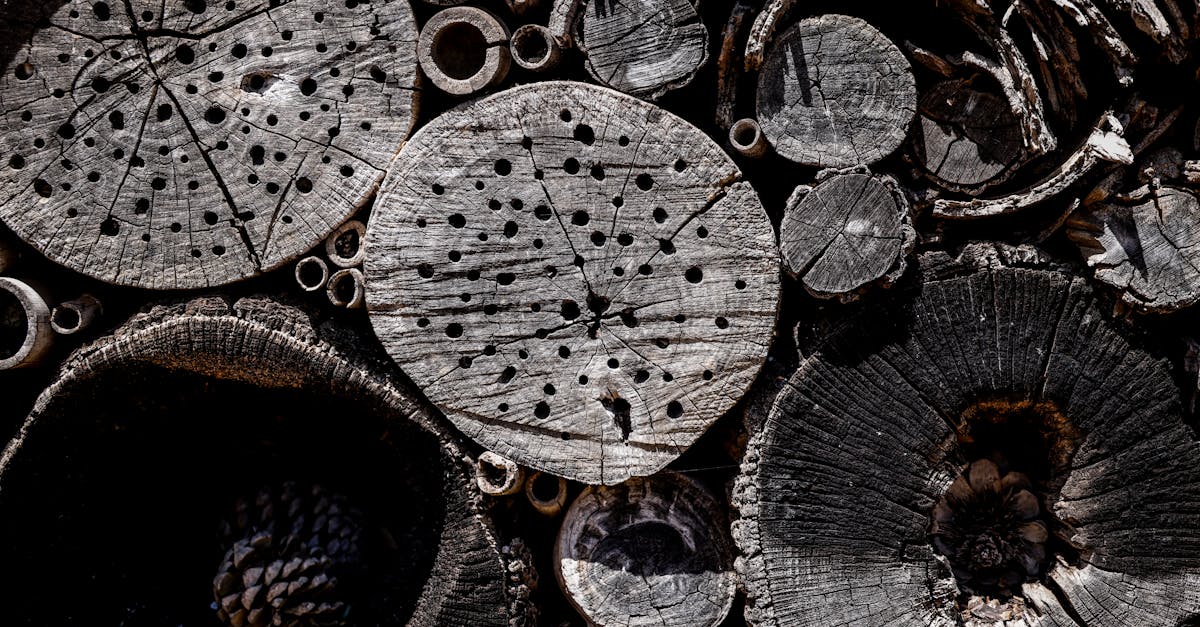 Eingebautes Leben: Tipps für ein nachhaltiges und erfülltes Dasein