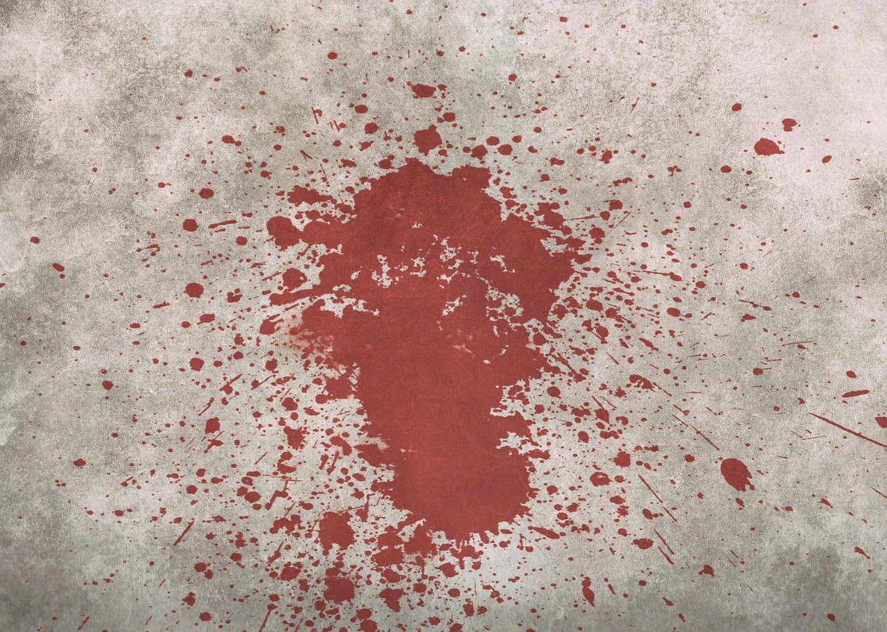 Deutschland-Blog: Mord in Hamburg – Flüchtling wohl ohne gründliche Prüfung nach Deutschland eingereist