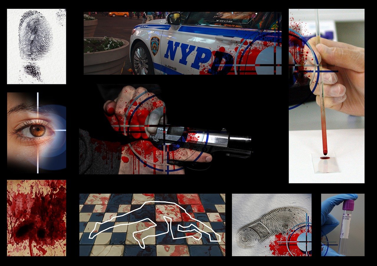 Deutschland-Blog: Mordfall in Hamburg – Flüchtling offenbar ohne vollständige Sicherheitsüberprüfung eingereist