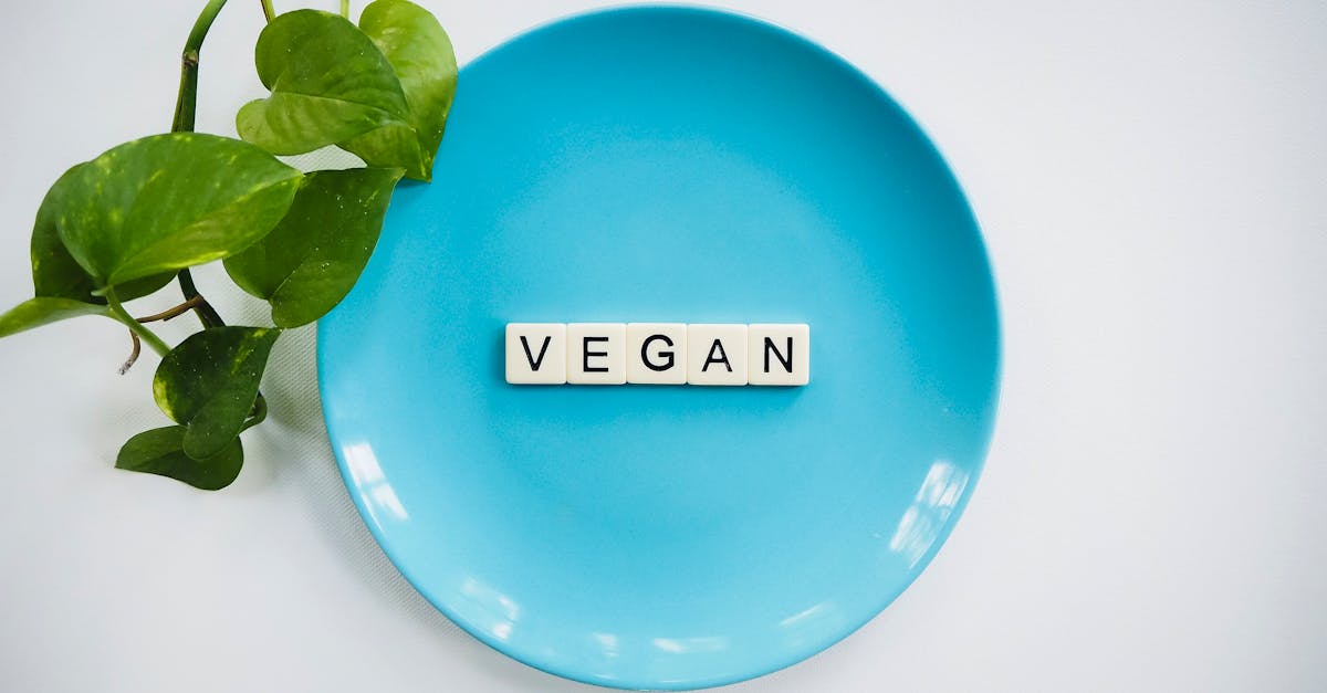 Vegan-Kochen: köstliche Rezepte für jeden Tag