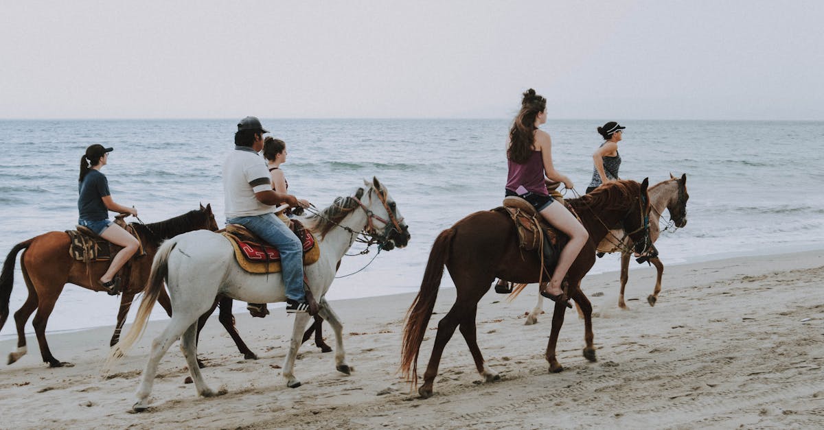 Familienaktivitäten: Tipps für unvergessliche gemeinsame Erlebnisse