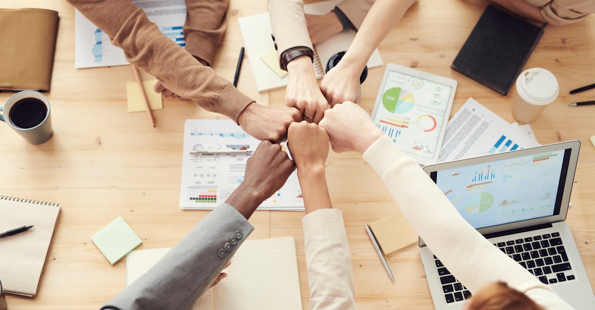 Technologiepartner: So wählen Sie den richtigen Partner für Ihre digitalen Projekte