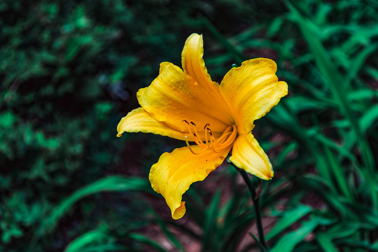 Rassismus im Gesundheitswesen: Wege zur Überwindung von Diskriminierung und Ungerechtigkeit