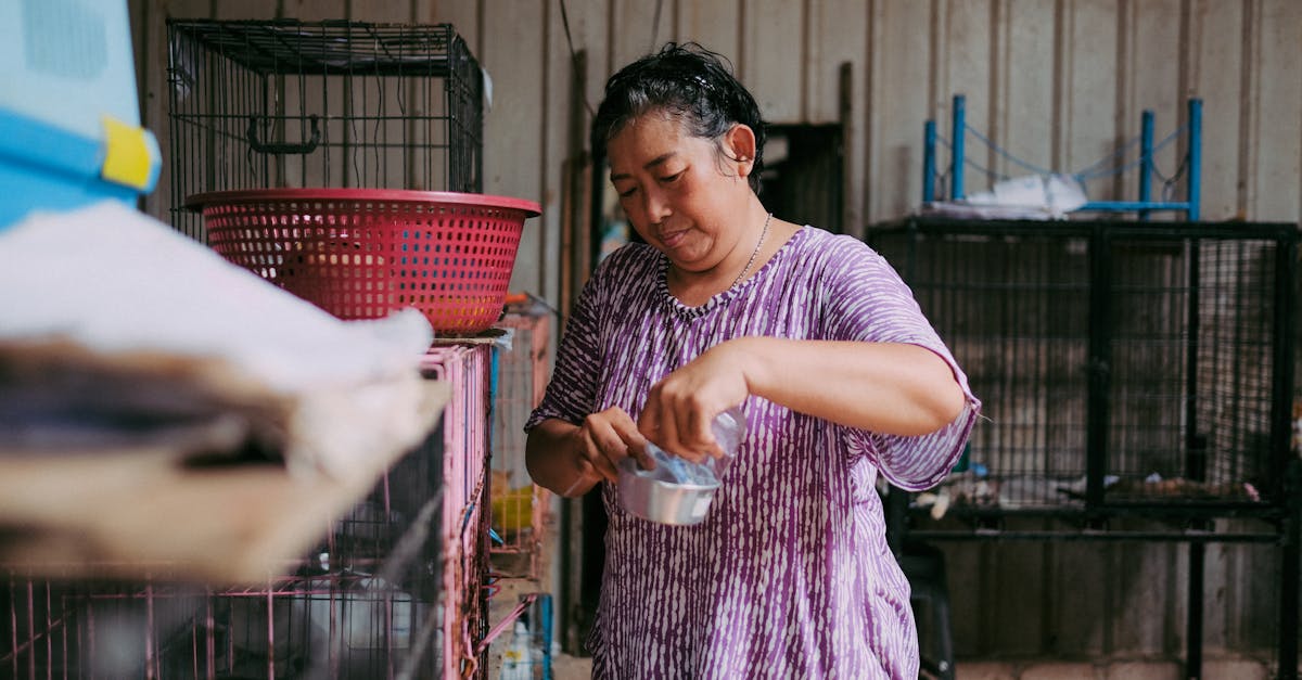 Haustierlobby: wie sich Haustierbesitzer für bessere Rechte einsetzen